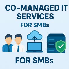 co-managed-it-services